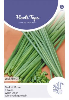 PAKJE BIESLOOK GROVE (HORTI TOPS)