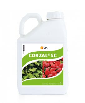 CORZAL SE 5 LTR. (12918N)